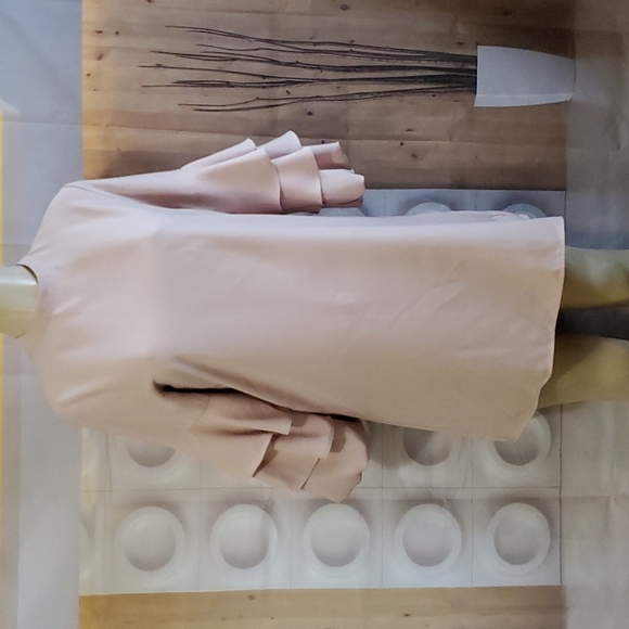 Zara Tan color ruffle sleeve mini dress Size M - Picture 2 of 8